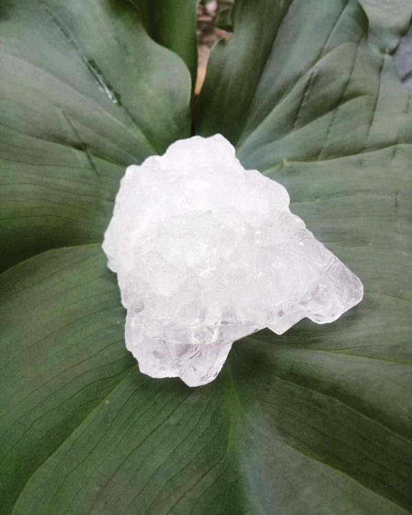 La imagen muestra una piedras de alumbre sobre las hojas de una planta